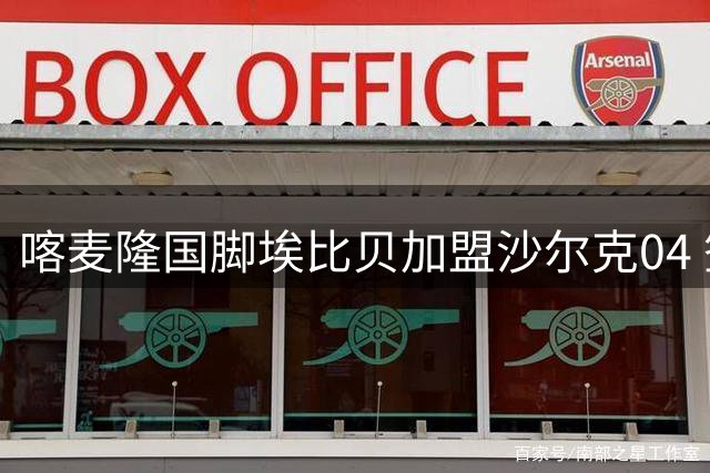 喀麦隆国脚埃比贝加盟沙尔克04 签约四年助力球队重返德甲